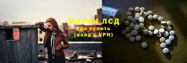 индика Ленск