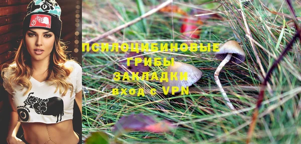 экстази Сатка