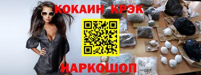 гашик Кингисепп