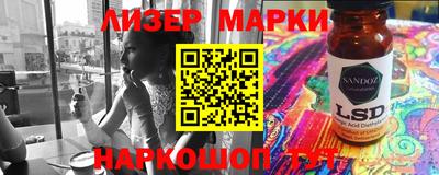гашик Кингисепп