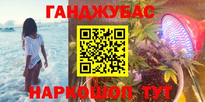 гашик Кингисепп