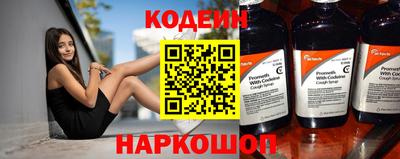 гашик Кингисепп