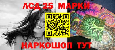 гашик Кингисепп