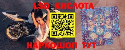 гашик Кингисепп