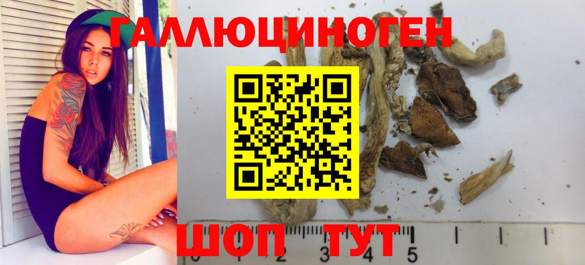 Галлюциногенные грибы мухоморы Славянск-на-Кубани